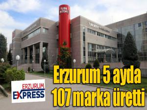 Erzurum 5 ayda 107 marka üretti