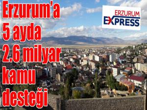 Erzuruma 5 ayda 2.6 milyar kamu desteği