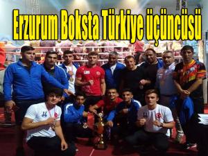  Erzurum Boksta Türkiye üçüncüsü 