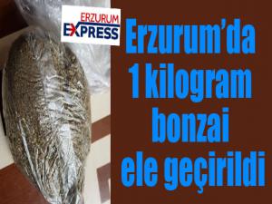 Erzurumda 1 kilogram bonzai ele geçirildi