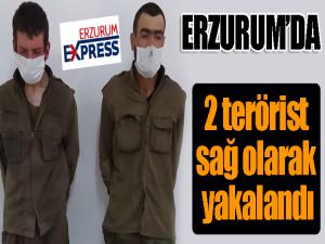 Erzurumda 2 terörist sağ olarak yakalandı