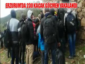 Erzurum'da 230 kaçak göçmen yakalandı 