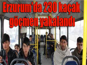 Erzurum'da 230 kaçak göçmen yakalandı