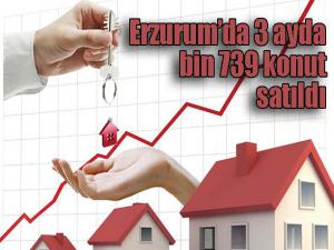 Erzurumda 3 ayda bin 739 konut satıldı 