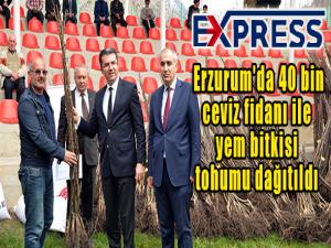 Erzurum'da 40 bin ceviz fidanı ile yem bitkisi tohumu dağıtıldı 