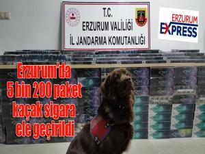Erzurumda 5 bin 200 paket kaçak sigara ele geçirildi
