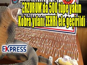  Erzurumda 500 tüpe yakın Kobra yılanı zehri ele geçirildi 