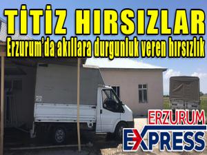 Erzurumda akıllara durgunluk veren hırsızlık 