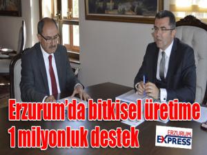 Erzurumda bitkisel üretime 1 milyonluk destek