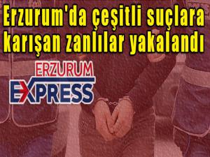 Erzurum'da çeşitli suçlara karışan zanlılar yakalandı 