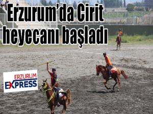 Erzurumda cirit heyecanı başladı