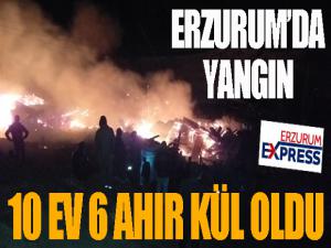 Erzurumda feci yangın: 10 ev 6 ahır kül oldu