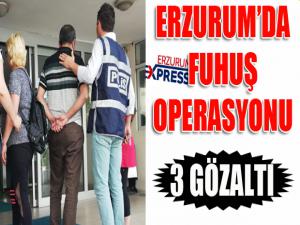 Erzurumda fuhuş operasyonu