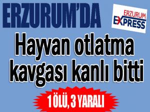 Erzurum'da hayvan otlatma kavgası kanlı bitti: 1 ölü, 3 yaralı