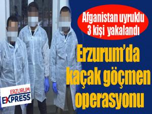 Erzurumda kaçak göçmen operasyonu