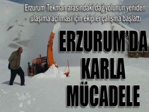 Erzurum'da karla mücadele...