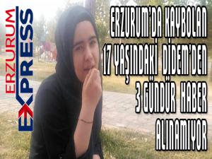 Erzurumda kaybolan Didemden 3 gündür haber alınamıyor