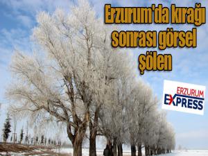 Erzurum'da kırağı sonrası görsel şölen