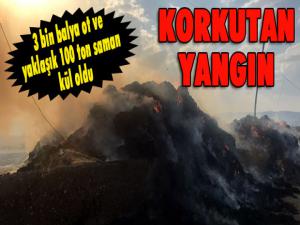 Erzurumda korkutan ot yangını