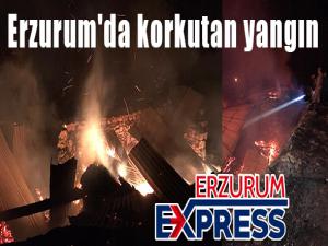Erzurum'da korkutan yangın