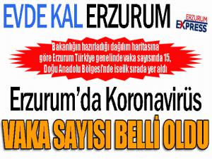 Erzurum'da Korona Virüs vaka sayısı belli oldu...