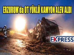 Erzurumda ot yüklü kamyon alev aldı 