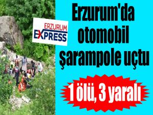 Erzurum'da otomobil şarampole uçtu: 1 ölü, 3 yaralı