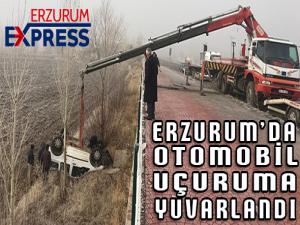 Erzurumda otomobil uçuruma yuvarlandı
