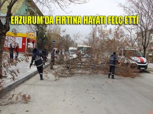 Erzurumda şiddetli rüzgar hayatı adeta felç etti 