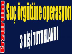 Erzurumda suç örgütüne yönelik düzenlenen operasyonda gözaltına alınan 9 şüpheliden 3ü tutuklandı