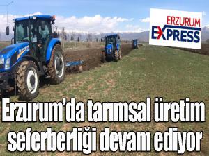 Erzurumda tarımsal üretim seferberliği devam ediyor