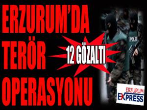  Erzurum'da terör operasyonu: 12 gözaltı 