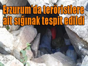 Erzurum'da teröristlere ait sığınak tespit edildi 