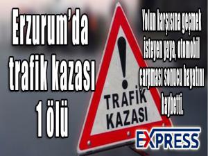Erzurumda trafik kazası: 1 ölü 