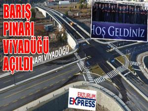 Erzurum'da yapılan 'Barış Pınarı Viyadüğü' açıldı