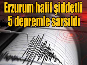 Erzurum hafif şiddetli 5 depremle sarsıldı