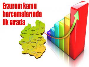  Erzurum kamu harcamalarında ilk sırada 