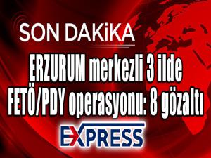 Erzurum merkezli 3 ilde FETÖ/PDY operasyonu: 8 gözaltı 