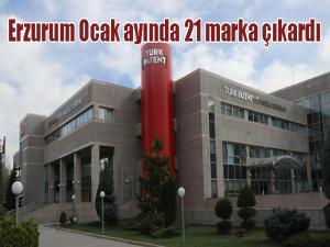 Erzurum Ocak ayında 21 marka çıkardı 