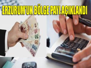 Erzurumun bölge payı açıklandı 