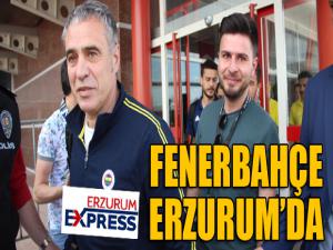 Fenerbahçe, Erzurumda