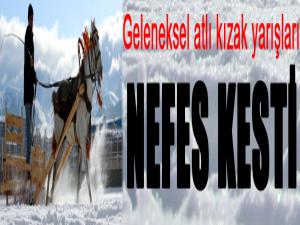 Geleneksel atlı kızak yarışları nefes kesti