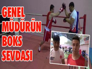 Genel Müdürün boks sevdası