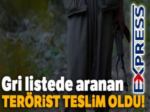 Gri listede aranan terörist teslim oldu!