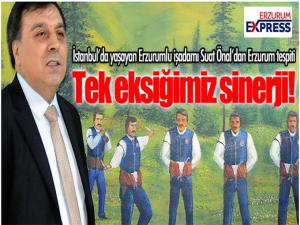 Gurbetteki işadamı Suat Önal'a göre tek eksiğimiz; SİNERJİ