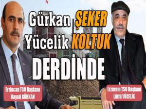 Gürkan ŞEKER, Yücelik KOLTUK derdinde...