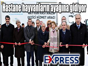 Hastane hayvanların ayağına gidiyor