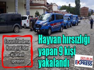 Hayvan hırsızlığı yapan 9 kişi yakalandı