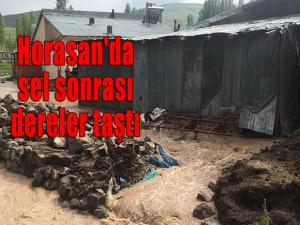 Horasan'da sel sonrası dereler taştı 