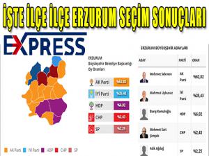 İŞTE İLÇE İLÇE ERZURUM SEÇİM SONUÇLARI 